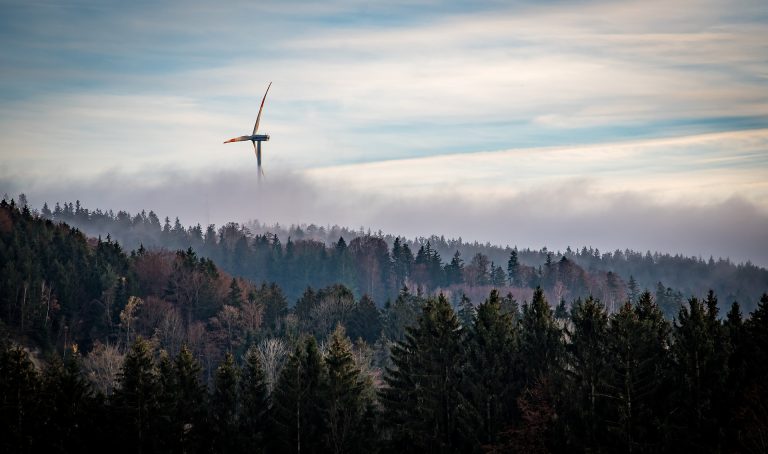 Reinhardswald: Starkes Projekt für die Energiewende in der Region